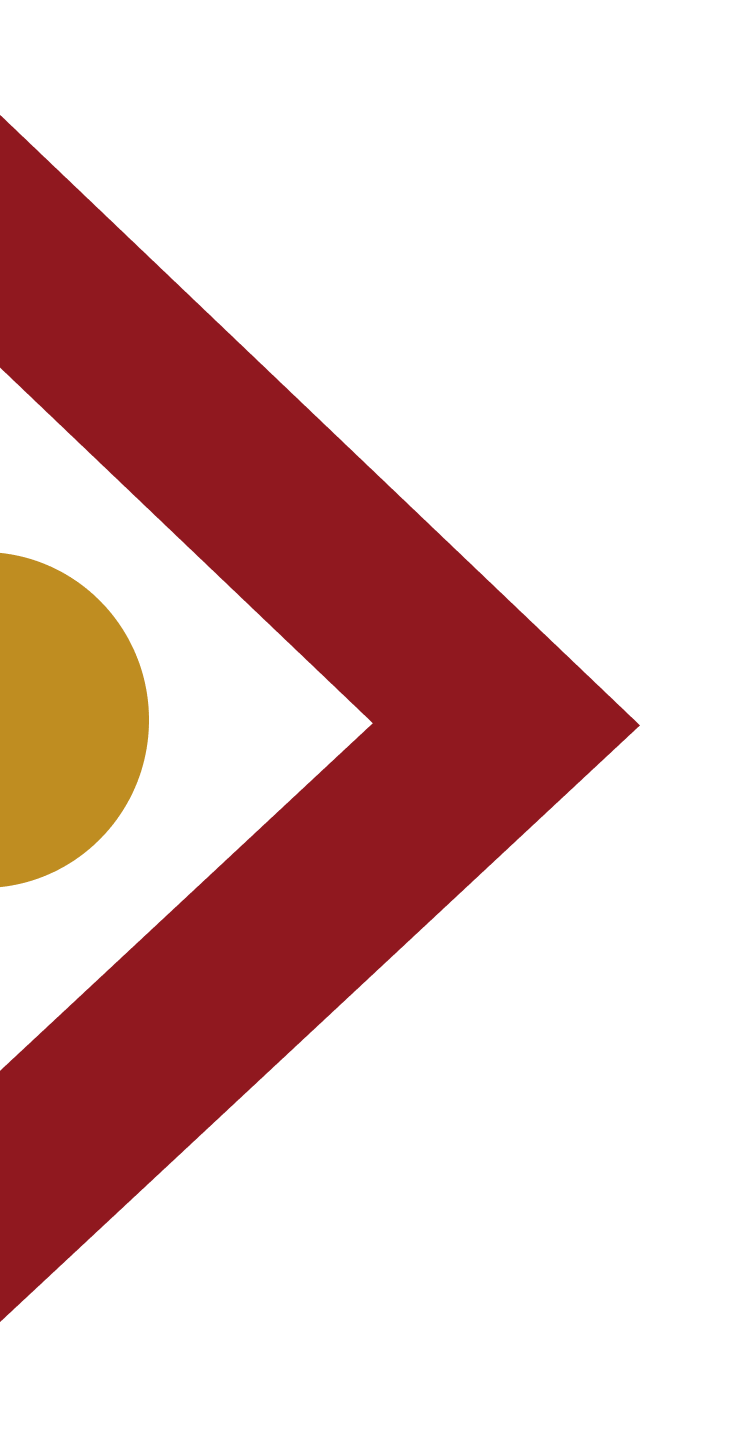 Seta 4